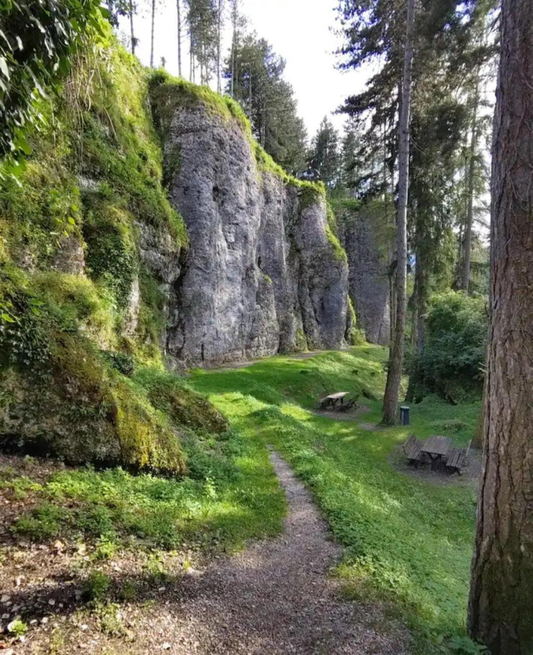 Alloggio La Falesia San Lorenzo Dorsino Exterior foto